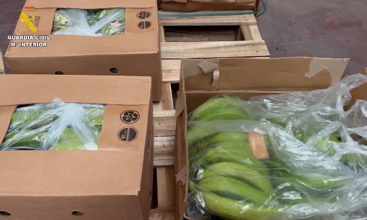 El cargamento provenía de Colombia y Ecuador