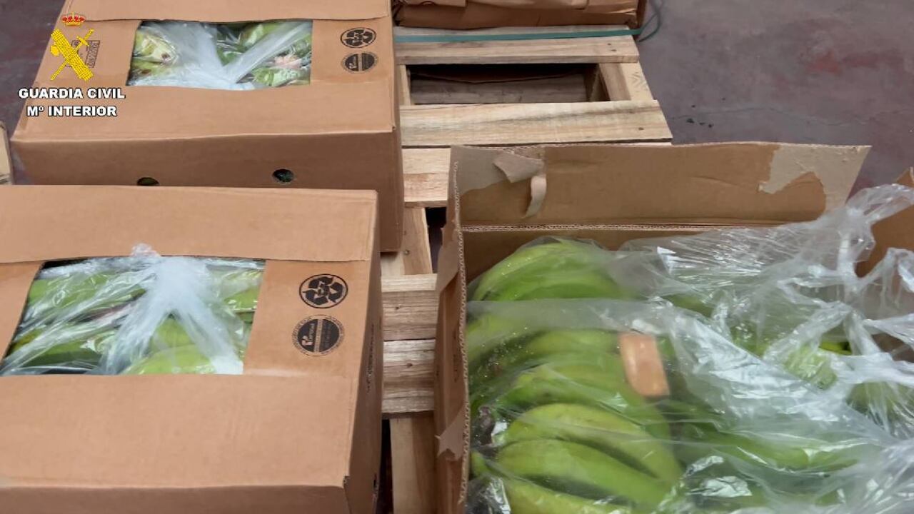 El cargamento provenía de Colombia y Ecuador