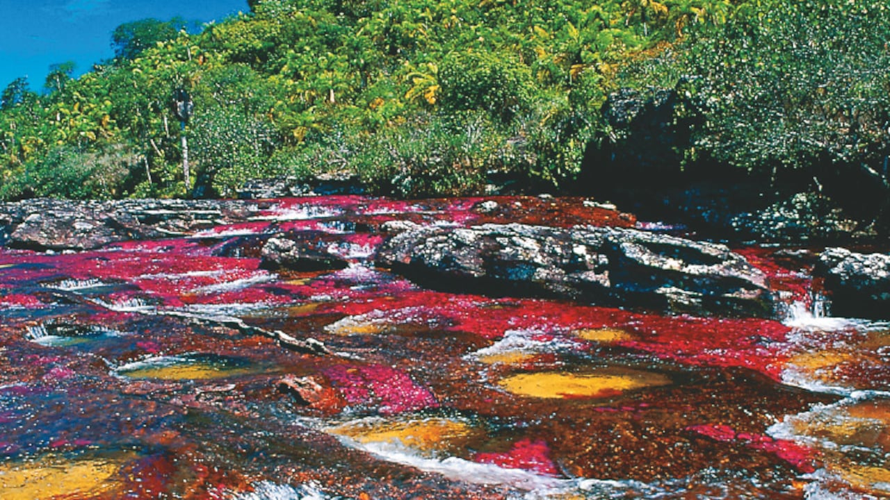 La microcuenca de Caño Cristales abarca cerca de 7.000 hectáreas, ubicadas en su mayoría en el Parque Nacional Natural Sierra de la Macarena.