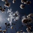 La industria de la moda es una de las más contaminantes del mundo. Foto tomada deDW