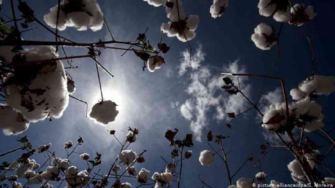 La industria de la moda es una de las más contaminantes del mundo. Foto tomada deDW