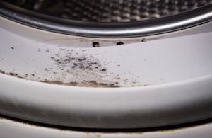 El moho en la lavadora puede acumularse y afectar el funcionamiento del aparato.