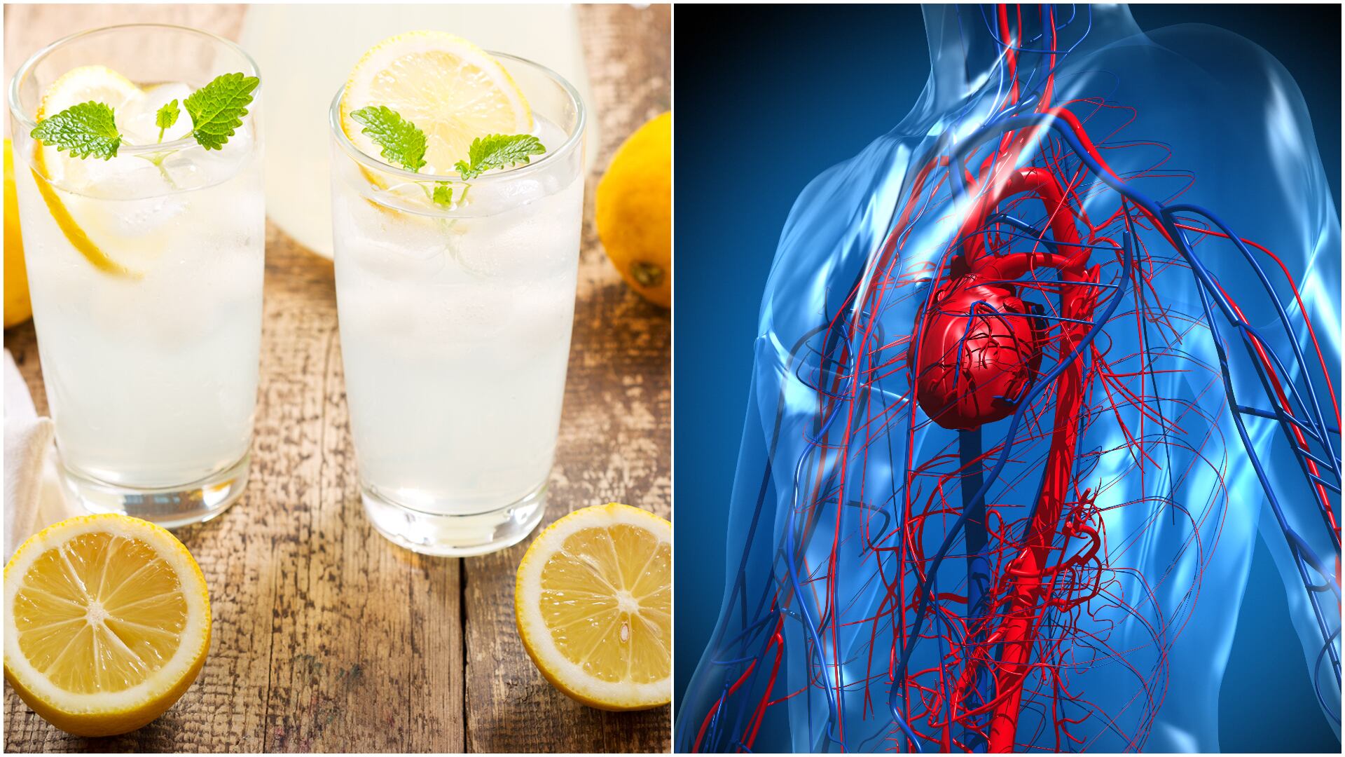 El limón es fuente de micronutrientes, como la vitamina C.