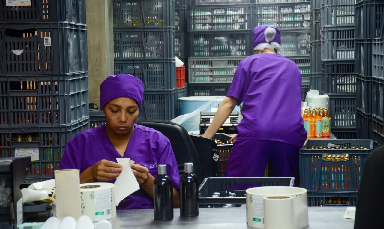 D'luchi Lab es un laboratorio de de 5.000 M2 de la empresa D'luchi, Kaba y La Receta CBD (marcas del sector cosmético).