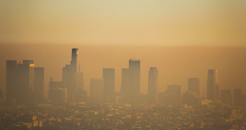 El sexo más justo_4