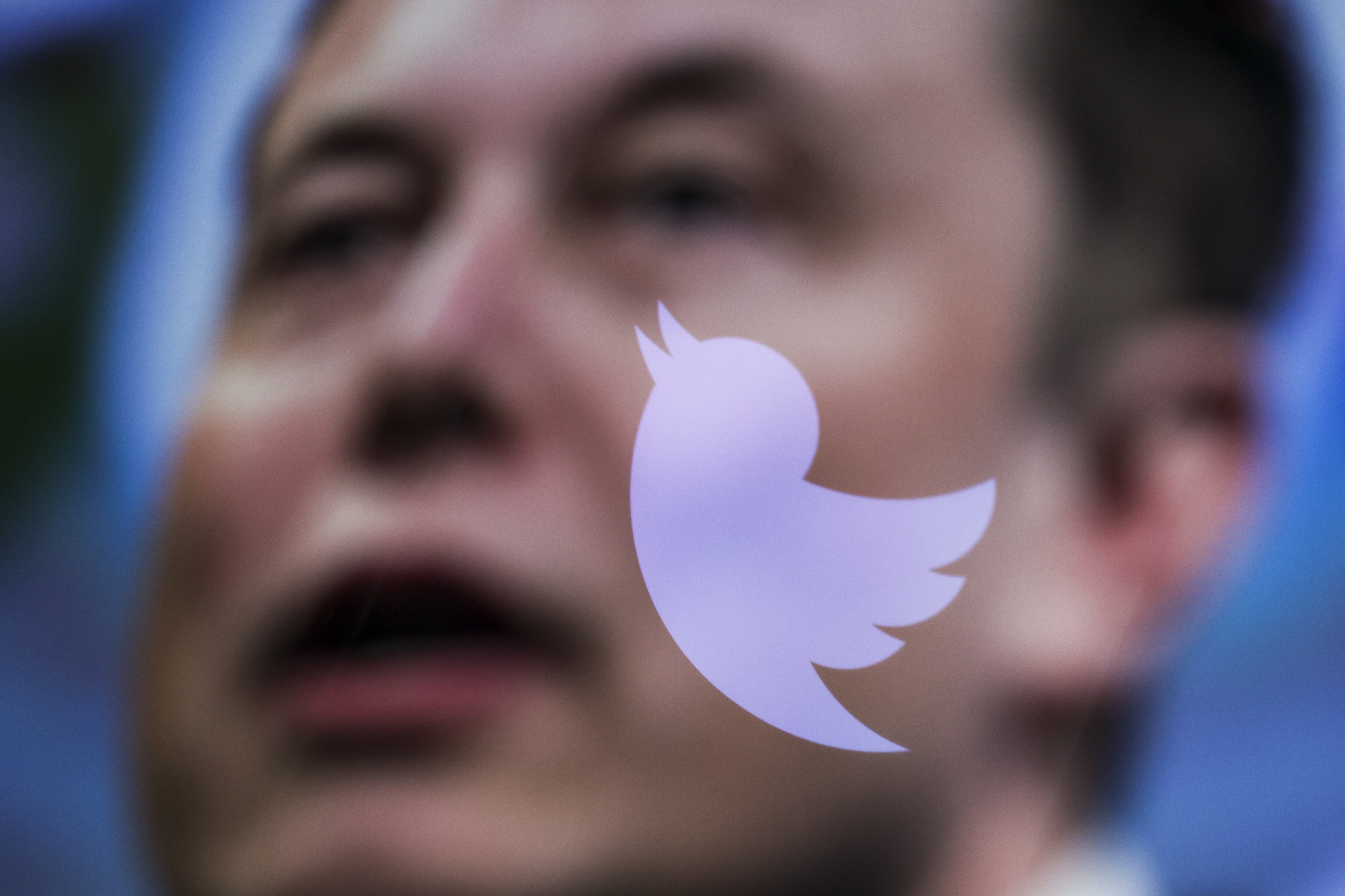 Elon Musk and Twitter