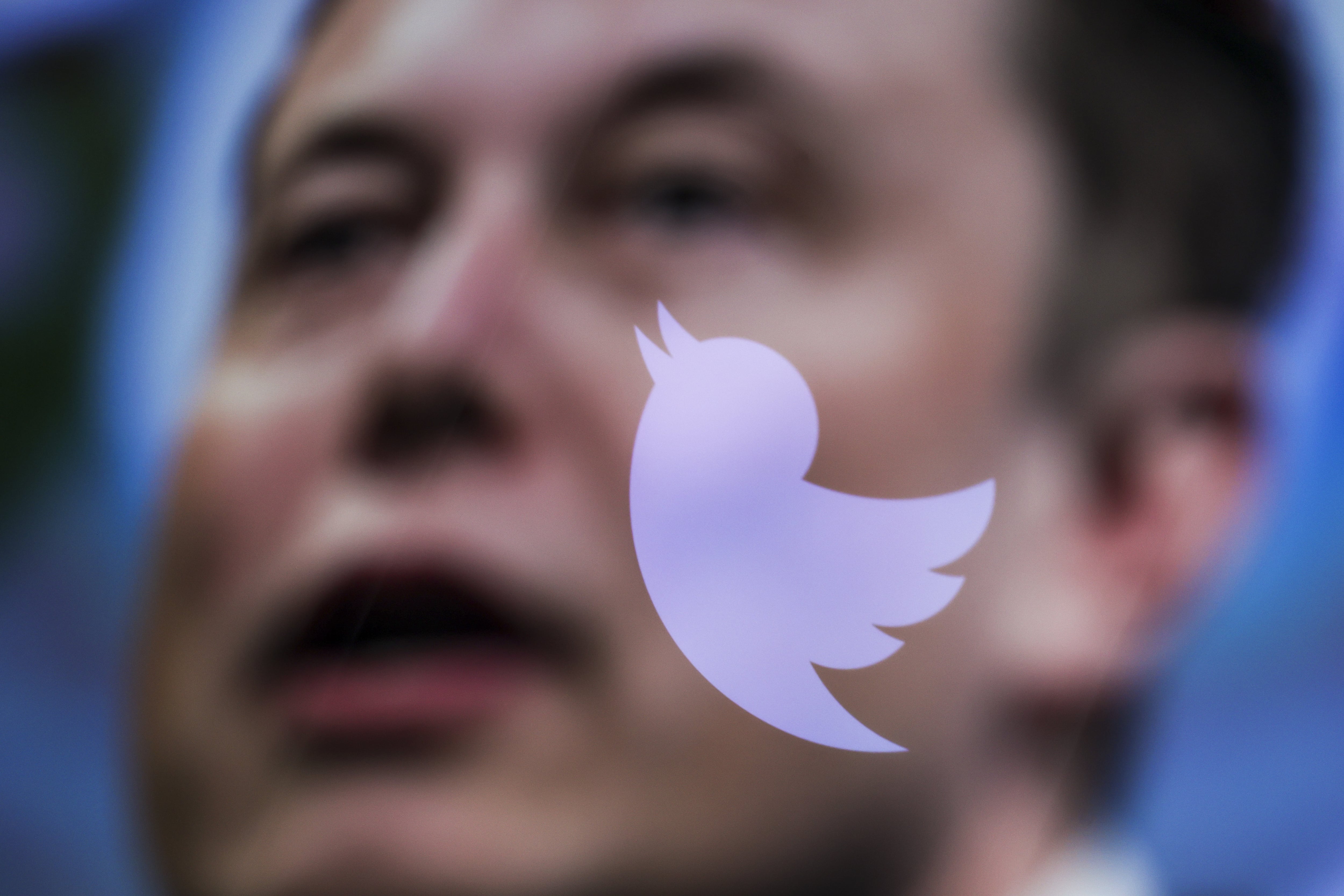 Elon Musk and Twitter