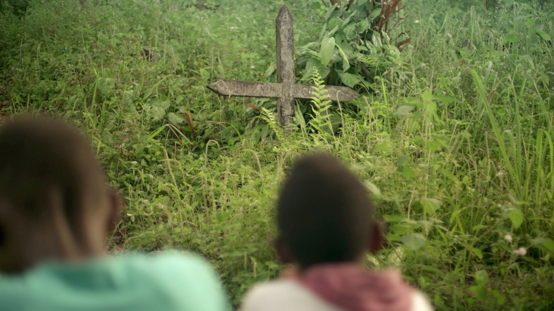'El mañana es un palacio de agua';
'La jungla te conoce mejor que tú mismo'; 'nuestro canto a la guerra'.
