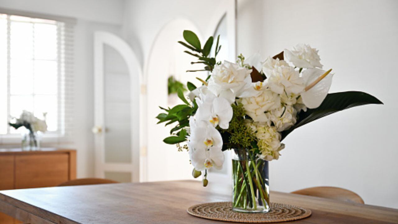 Plagas y orquídeas.