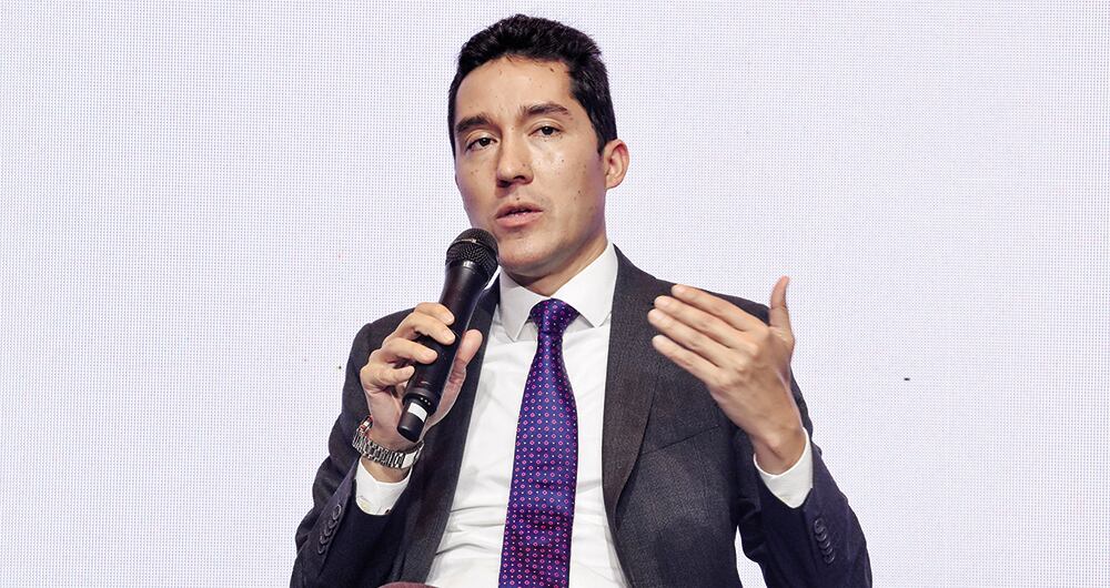 Luis F. Mejía Director de Fedesarrollo  