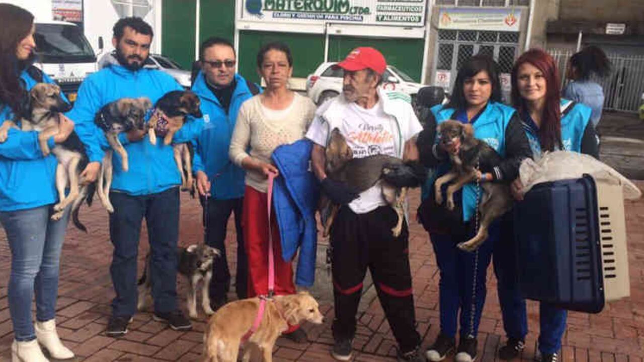 Twitter @AnimalesBOG