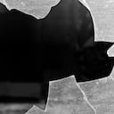 Broken Window