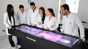 Las estrategias de inclusión y equidad de género están teniendo impacto incluso en los núcleos cercanos de estudiantes y profesores de la Universidad Cooperativa.