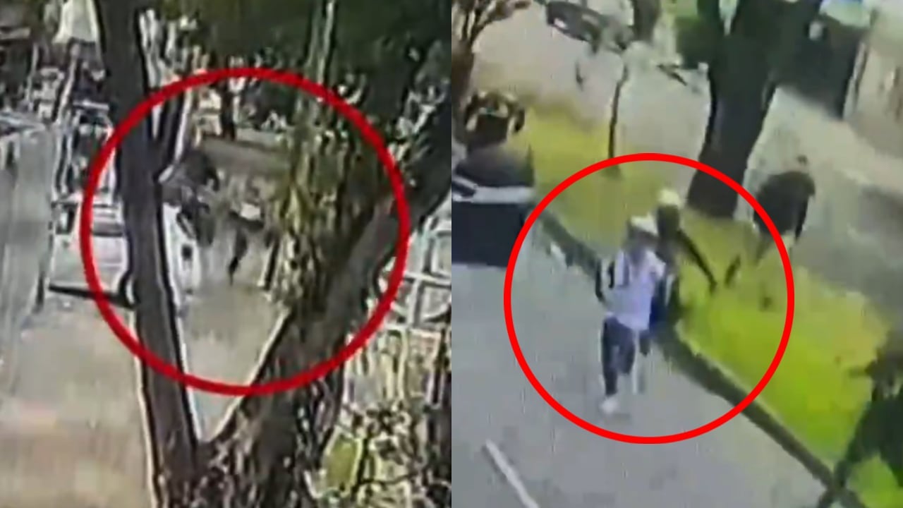 Este fue el momento en el que ocurrió el intento de robo y la captura.