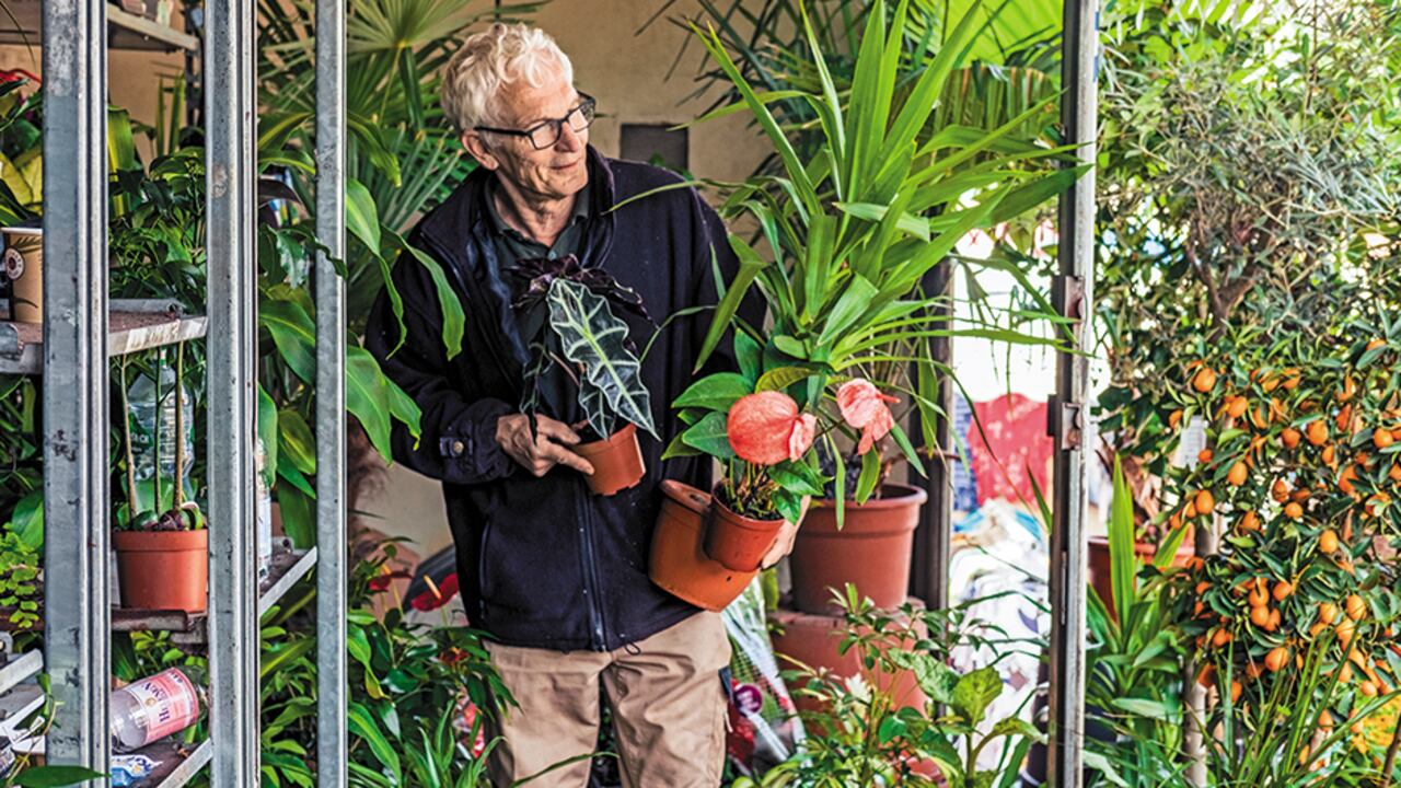 El vendedor de plantas y jardinero Horst Kretschmann grita sus ofertas.
