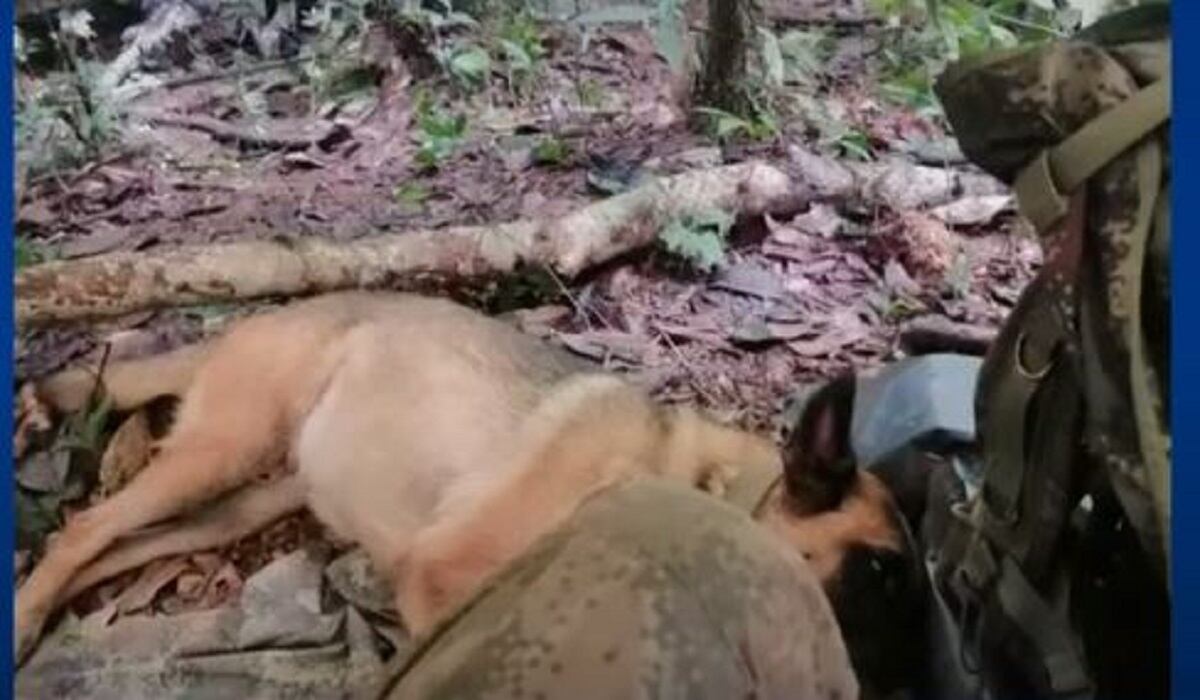 Ulises también hizo parte de la operación de rescate