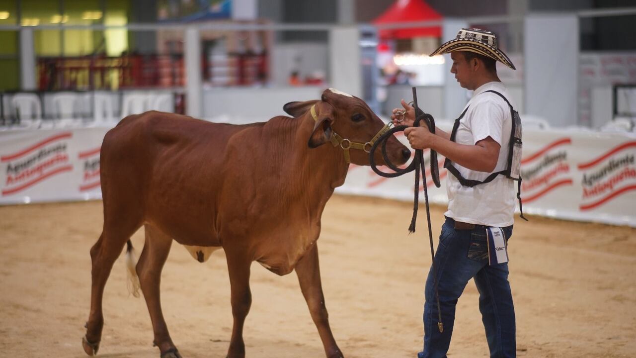 Agroexpo Caribe 2024 que se llevará a cabo en Barranquilla.