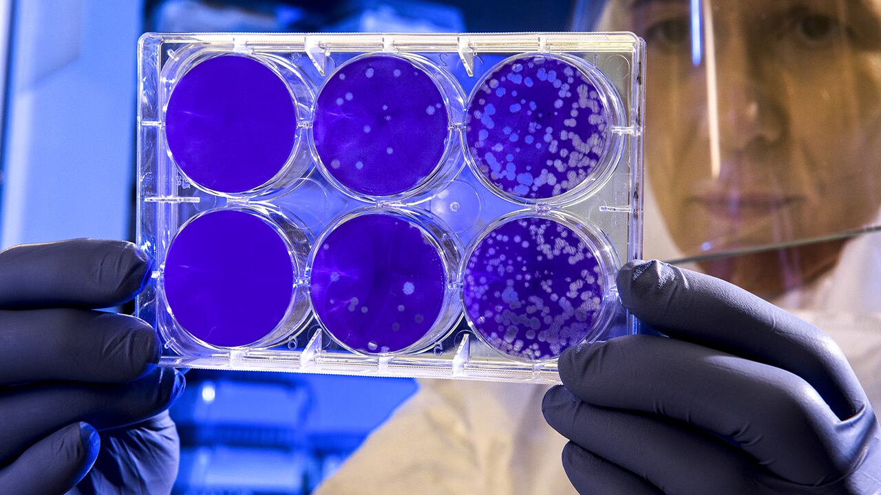 Científicos buscan confirmar efectividad de vacuna en nueva cepa de covid-19