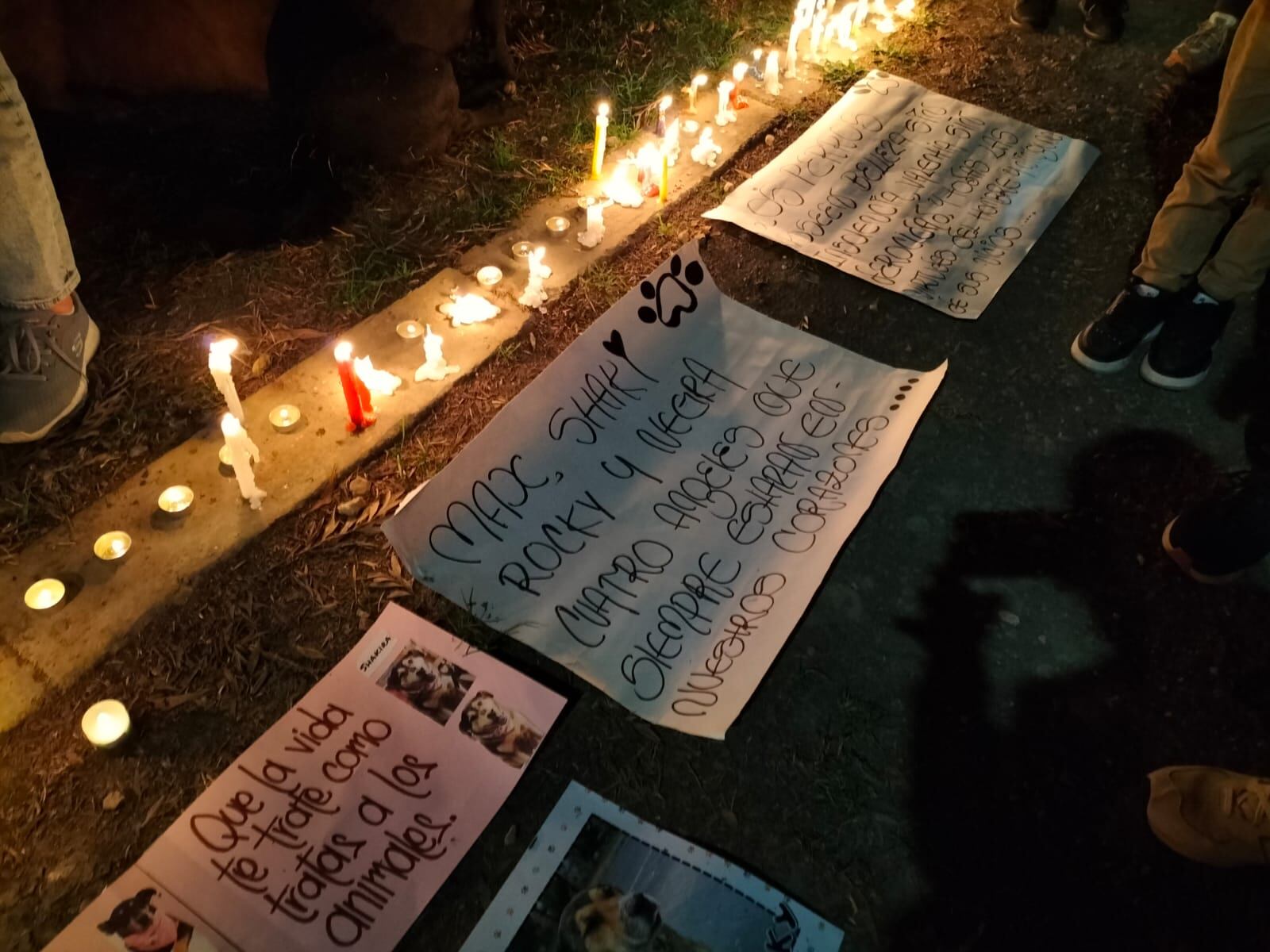 Habitantes de Madrid, Cundinamarca, están indignados por la muerte de cuatro perros. Se realizó una velatón.