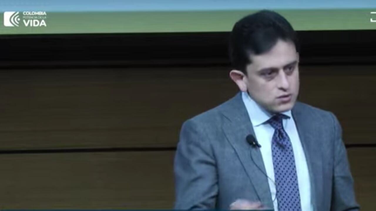 Luis Carlos Reyes, director de la Dian habla de la evasión tributaria en Colombia.