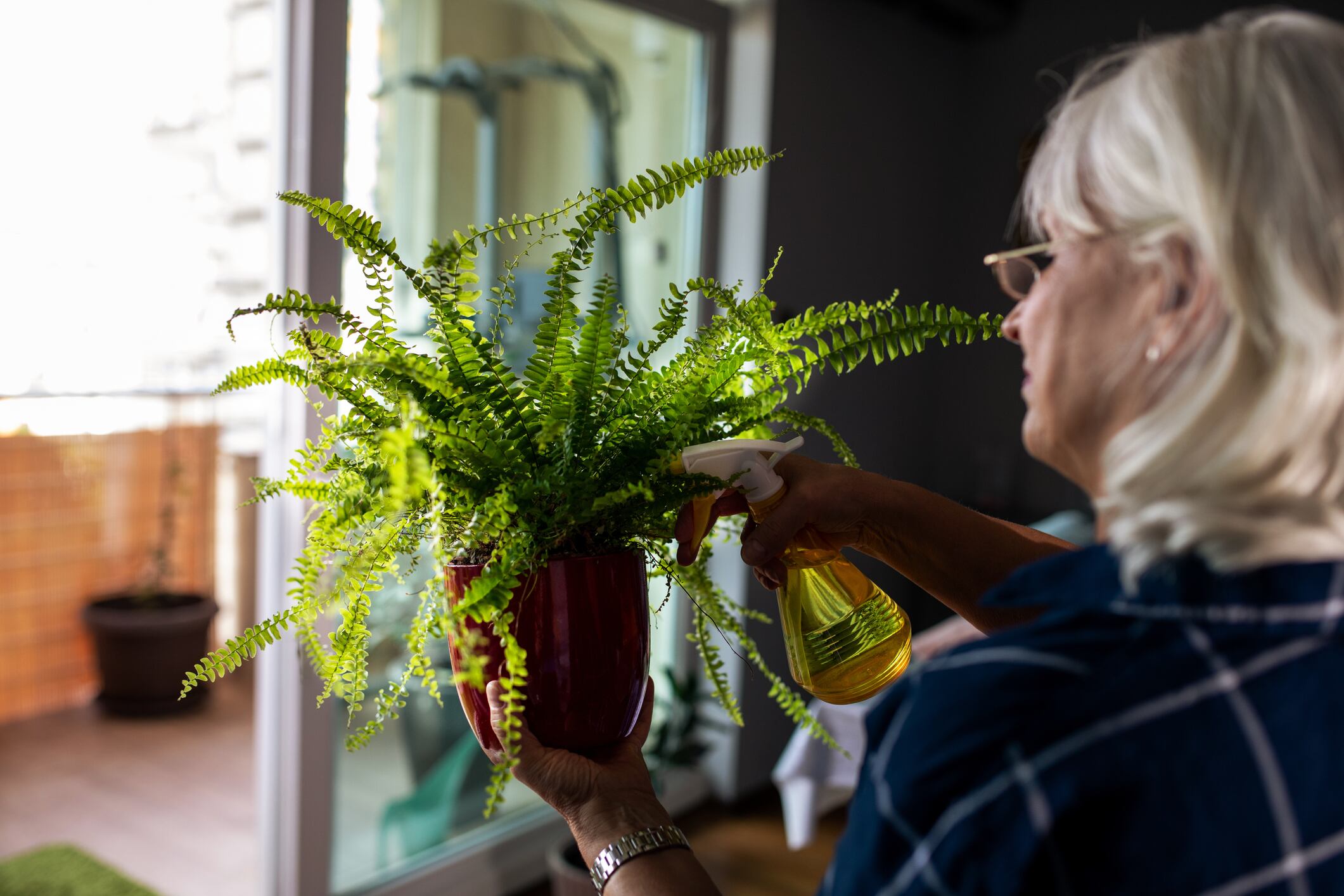 Explore cómo un helecho en el rincón oeste, según el Feng Shui, puede ser clave para estimular la creatividad en el hogar.