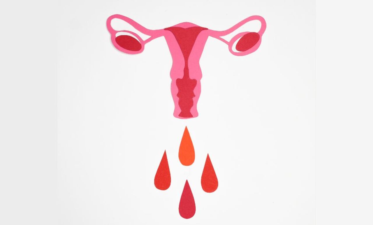 Menstruación - periodo menstrual