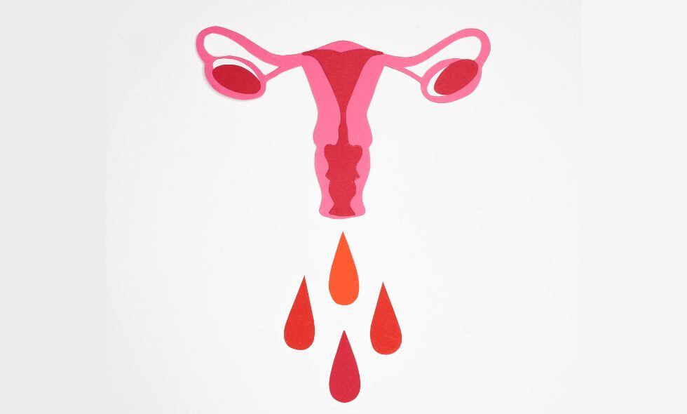 Menstruación - periodo menstrual