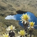 ¿Cómo llegar a la laguna negra en el Valle del Cauca?