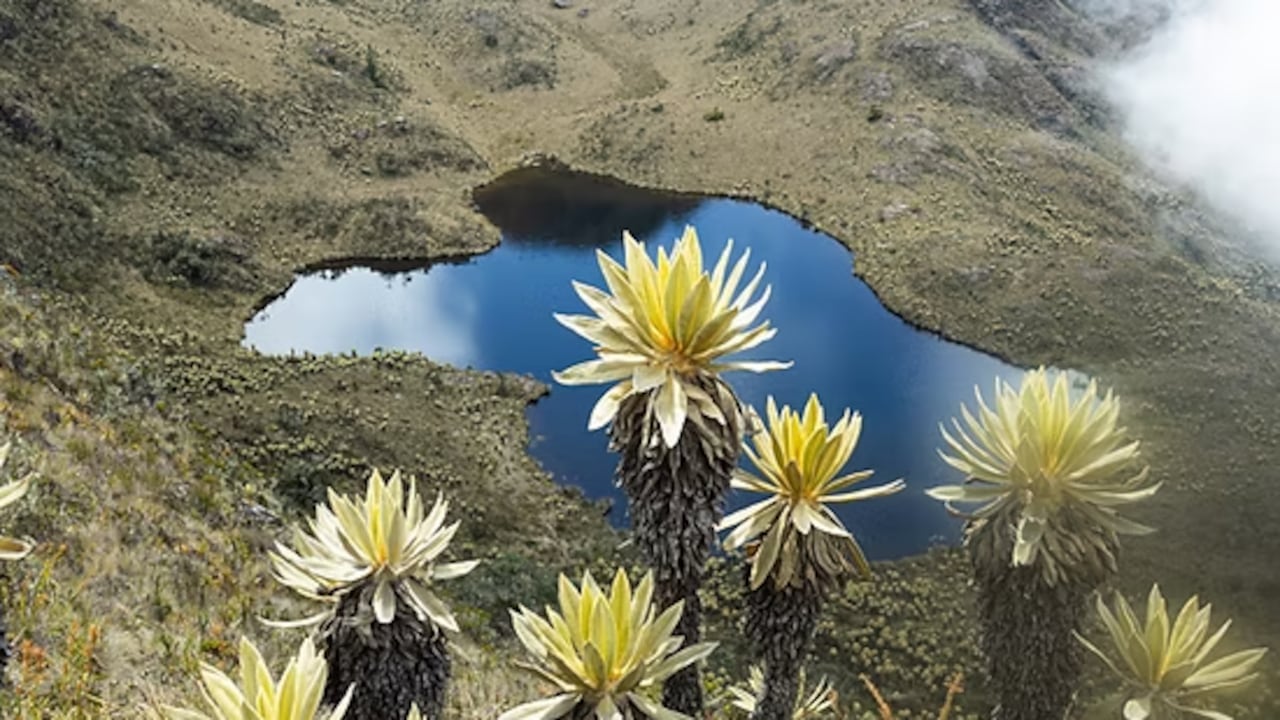 ¿Cómo llegar a la laguna negra en el Valle del Cauca?