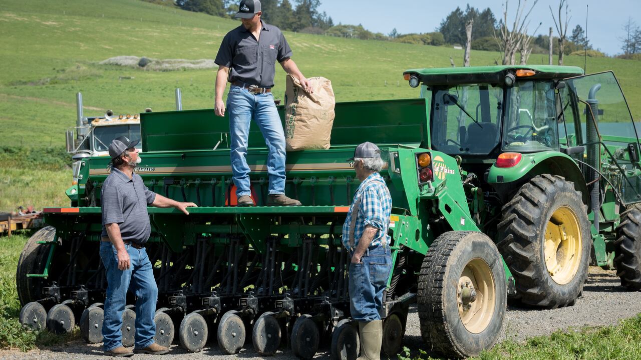 Impactante video muestra una “lluvia de ratones”, al tiempo que una “plaga bíblica” afecta a Australia