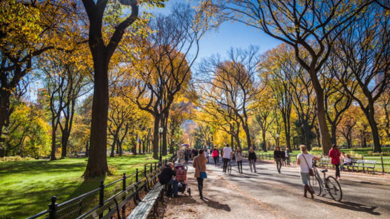 Los parques son espacios vitales para las ciudades.