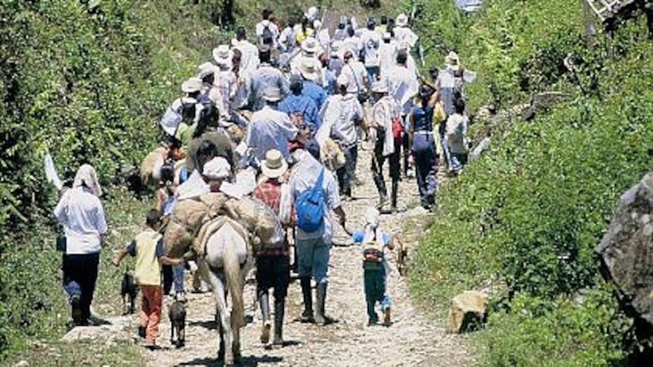 Según la Acnur, en lo que va del conflicto colombiano, 374 mil desplazados han salido del país.