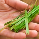 El aceite de citronela tiene propiedades antifúngicas.