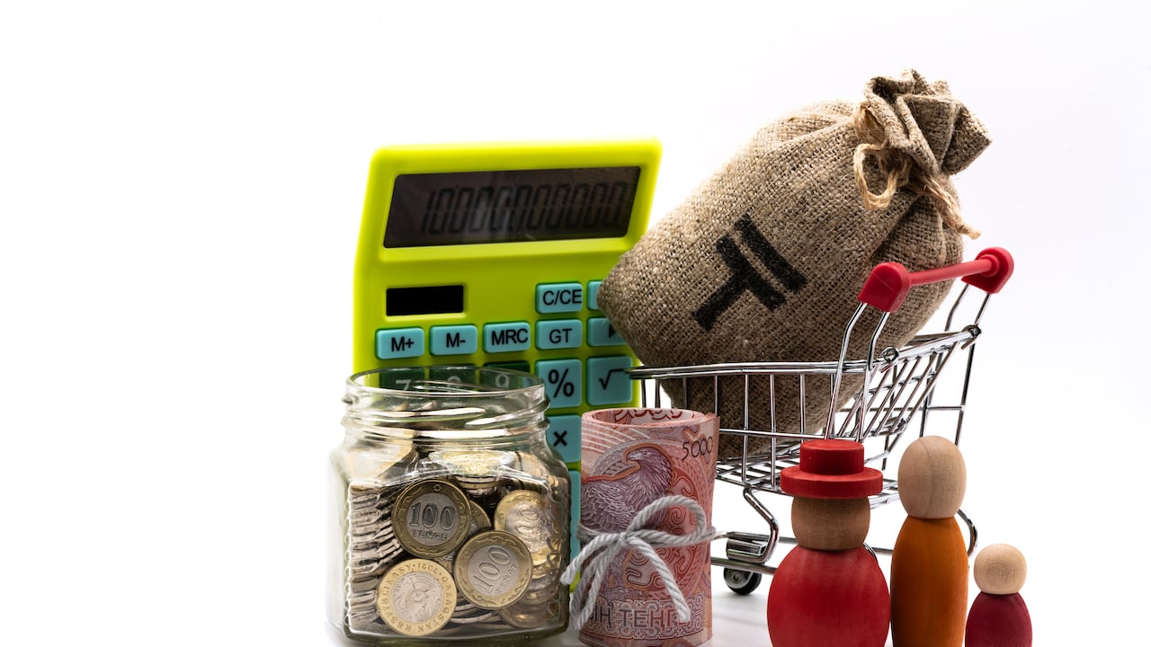 Ingreso mínimo garantizado de noviembre 2025