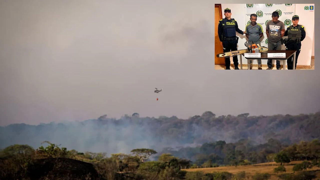 Los procesados fueron señalados por la Fiscalía de presuntamente provocar un incendio forestal que afectó cerca de seis hectáreas de vegetación y fauna silvestre en Dolores.