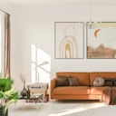 Hay plantas especiales que pueden ubicarse en la casa para mejorar el ambiente.