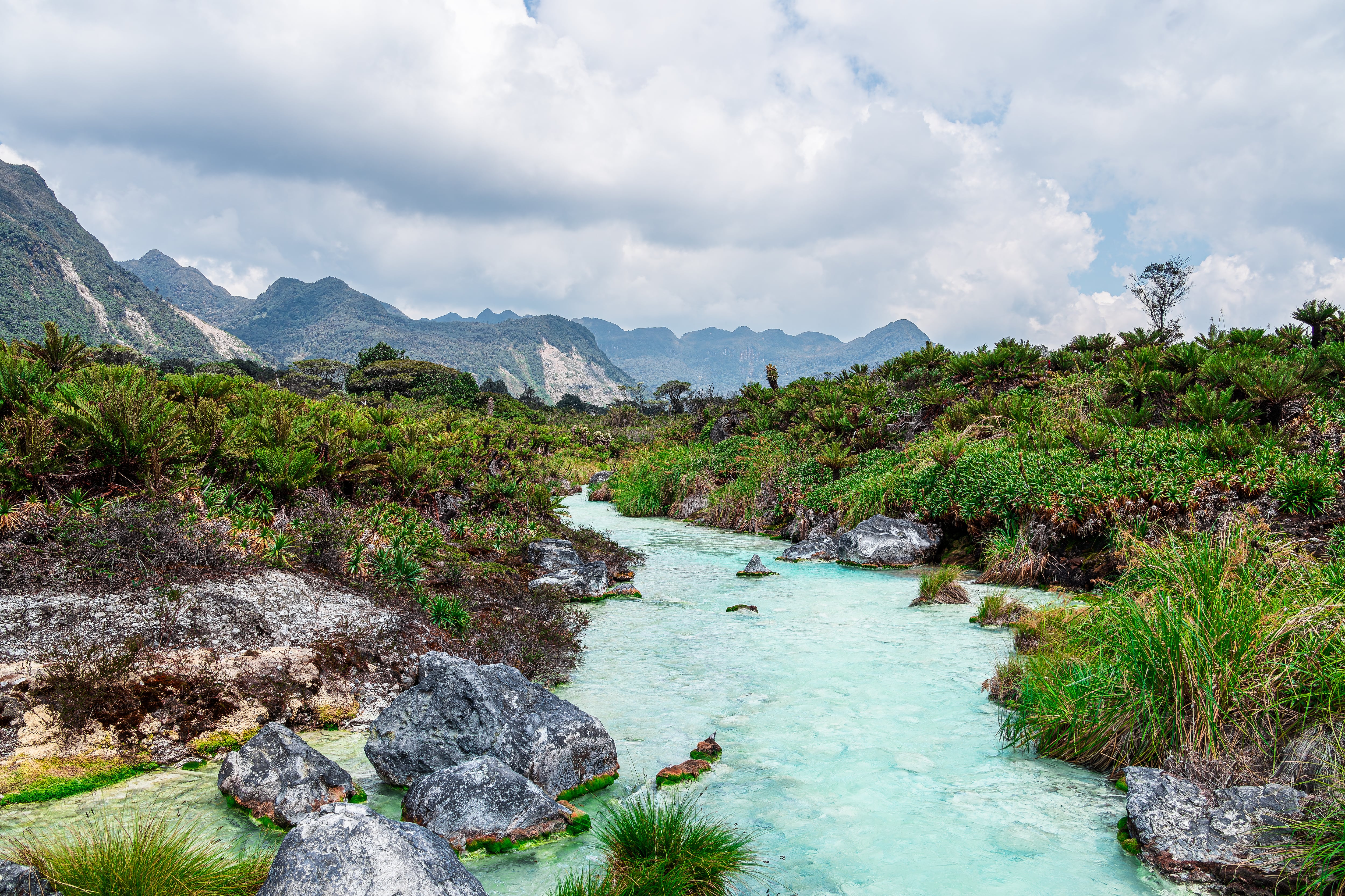 Parque Nacional Natural Puracé.