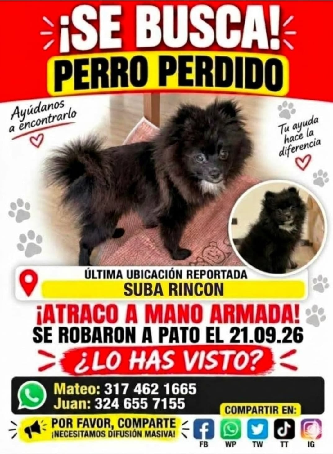 Por favor, comunicarse a esos números si tiene información para poder recuperar a la mascota.