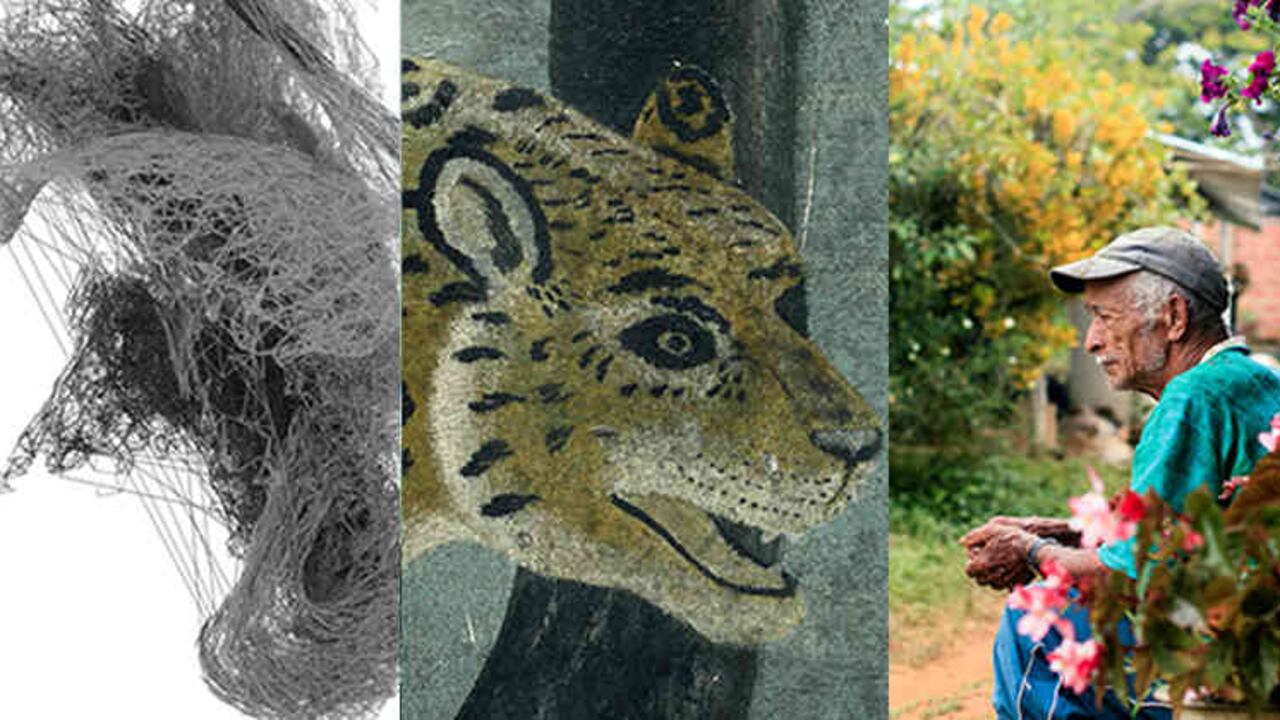 El festival de cortos BOGOSHORTS se celebrará en Bogotá del 3 al 10 de diciembre.