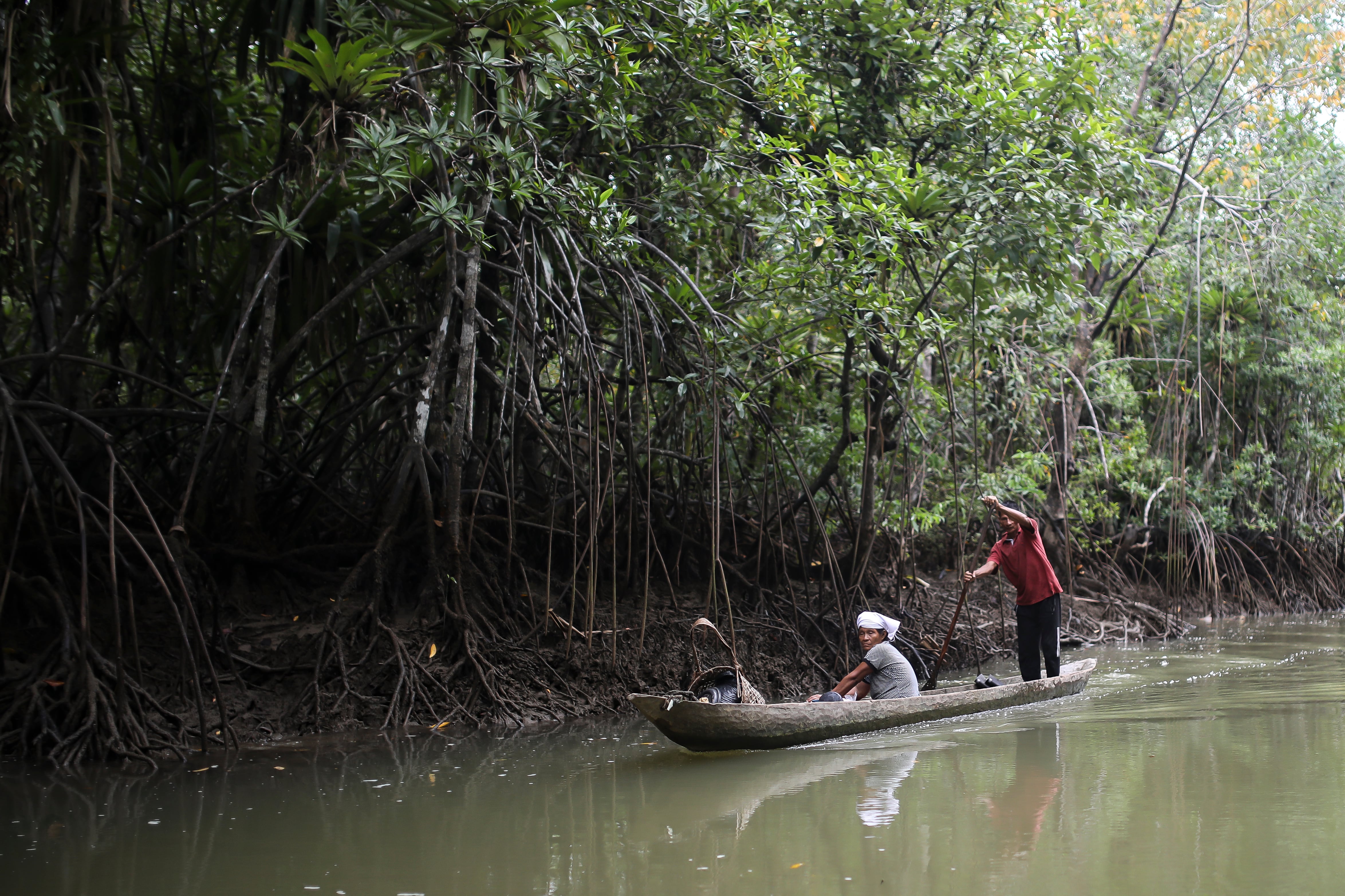 Otro de los atractivos del ecoturismo en el territorio es la liberación de tortugas marinas, especialmente de la Golfina, una especie de la familia Cheloniidae.