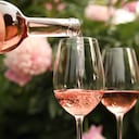 Conozca cómo el vino, más allá de su disfrute en la mesa, puede convertirse en un aliado inesperado en la protección de sus plantas contra las plagas del jardín.