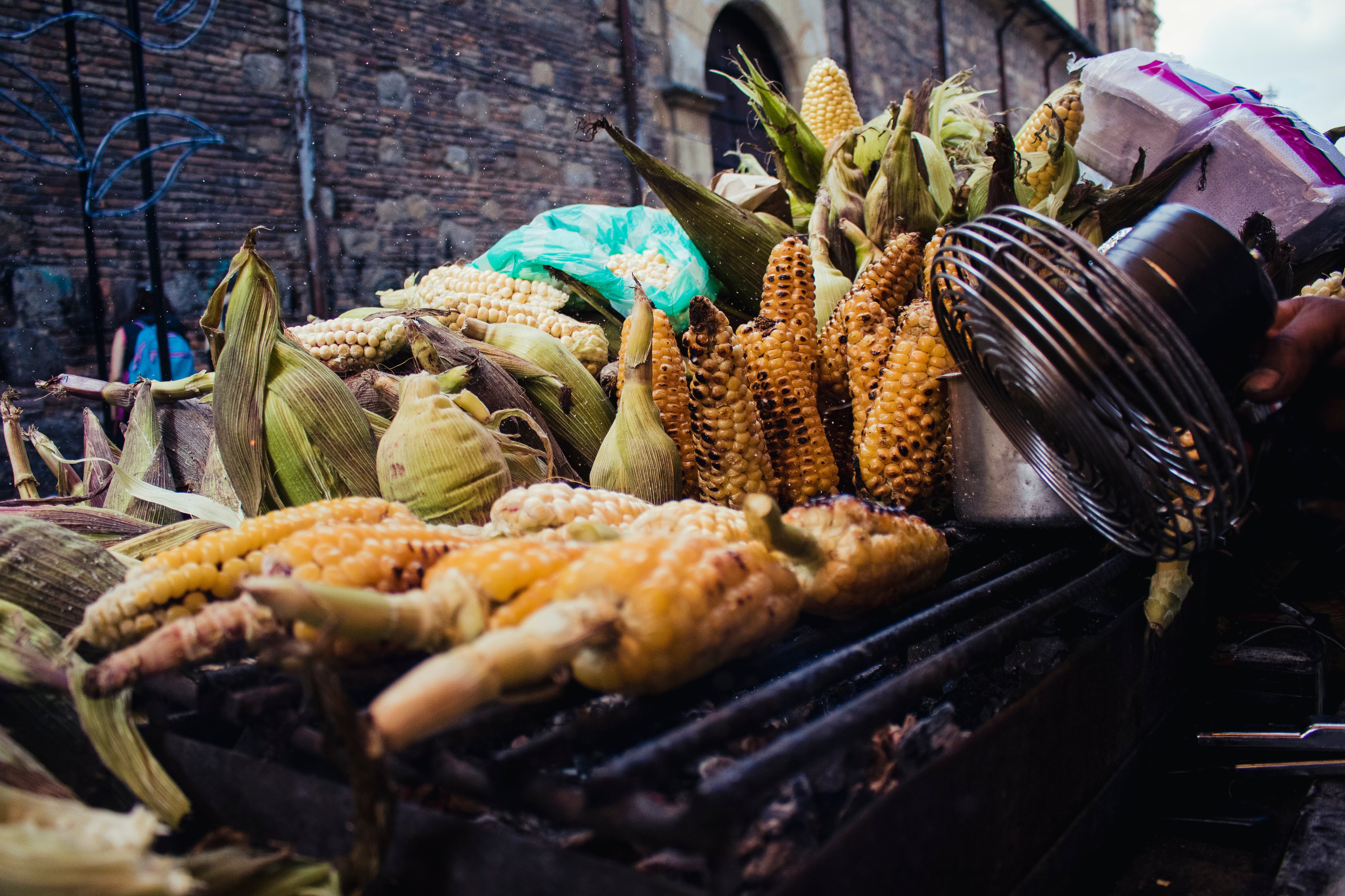 El ranking fue realizado por la plataforma TasteAtlas, un portal gastronómico muy reconocido.