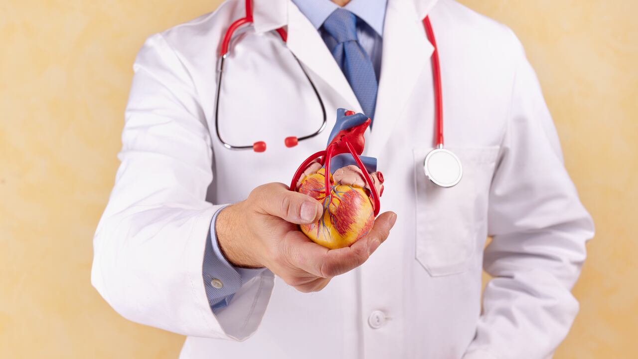 El corazón es uno de los cinco órganos vitales del cuerpo.