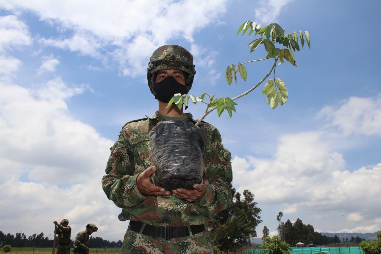 En la jornada participaron representantes del Ejército Nacional, hospital y alcaldía de Nemocón, MinAmbiente, Ideam, Gobernación de Cundinamarca y colaboradores de Tostao, empresa que aportó los 1.000 árboles de la siembra.