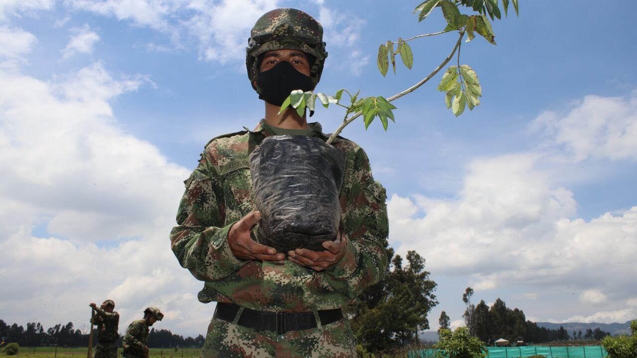 En la jornada participaron representantes del Ejército Nacional, hospital y alcaldía de Nemocón, MinAmbiente, Ideam, Gobernación de Cundinamarca y colaboradores de Tostao, empresa que aportó los 1.000 árboles de la siembra.