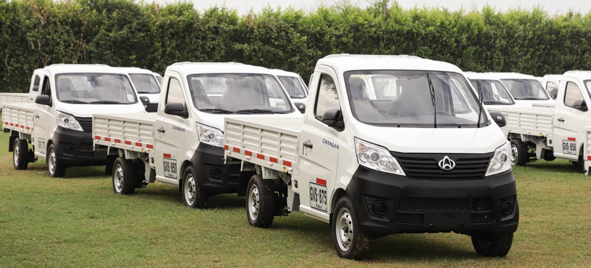 Supuestos carretilleros beneficiados con sustitución de vehículos de tracción animal en Cali, estarían vendiendo los carros.