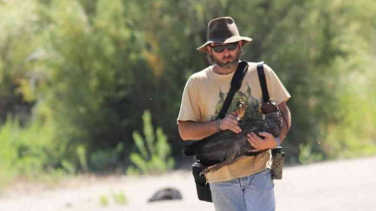 José Sarasola ha debido desafiar creencias populares y arraigadas para proteger al águila del Chaco, una de las más amenazadas de Sudamérica. Foto: GENTILEZA JOSE SARASOLA vía BBC.