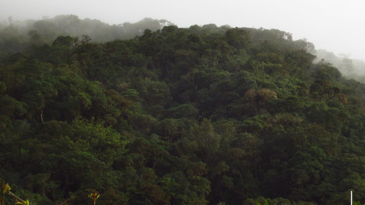 Reserva Natural Loma Azul en Tibaná, departamento de Boyacá.