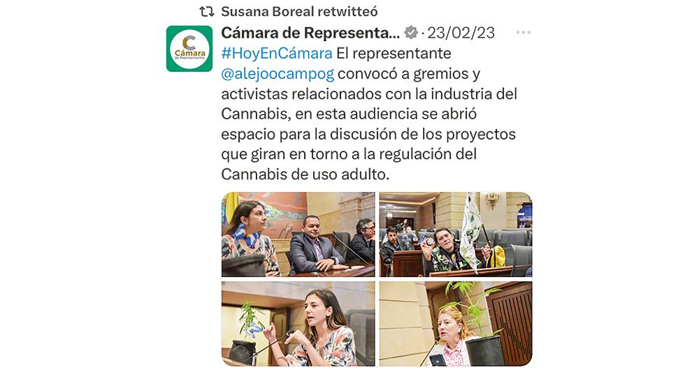 Soy consumidora de marihuana, hacerlo todos los días me encanta. No me da pena decirlo porque necesitamos una transformación cultural en este país”, dijo en su momento la congresista del Pacto Histórico.