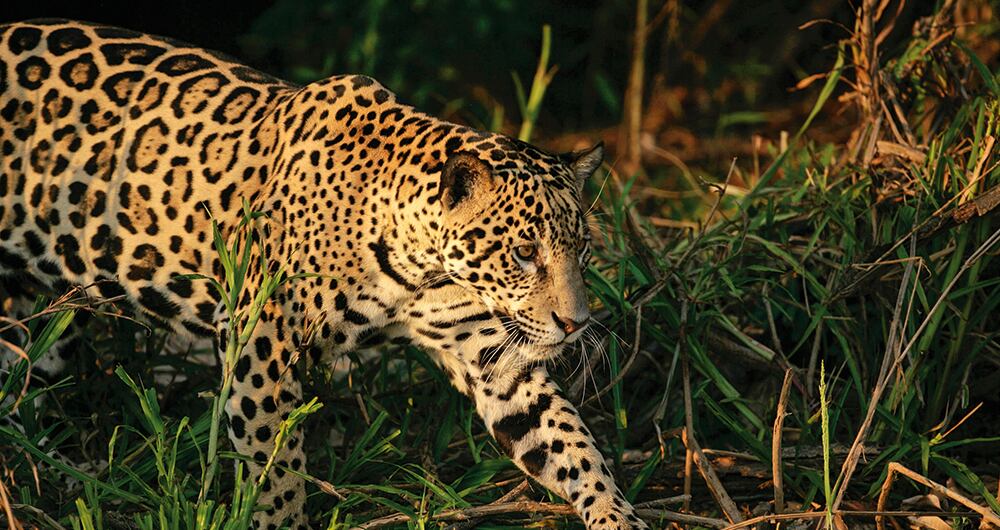 ¿Y ahora qué sigue?_3